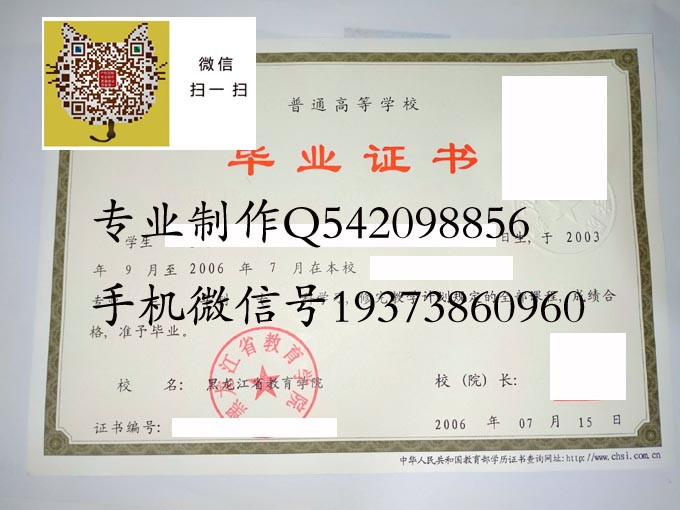 黑龙江省教育学院2006 拷贝.jpg