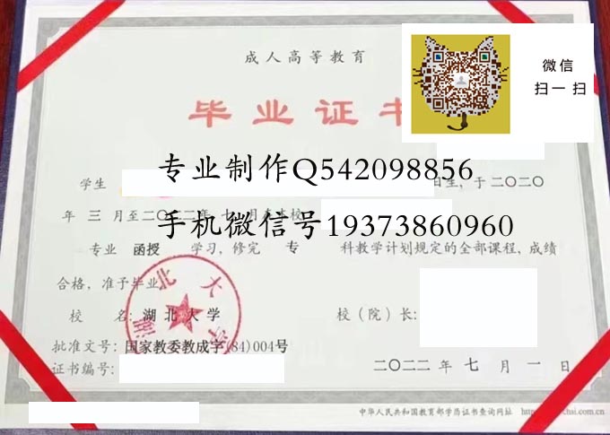 湖北大学成人2022 拷贝