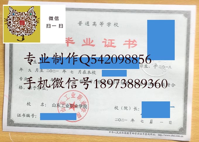 山东工业职业学院2021 拷贝