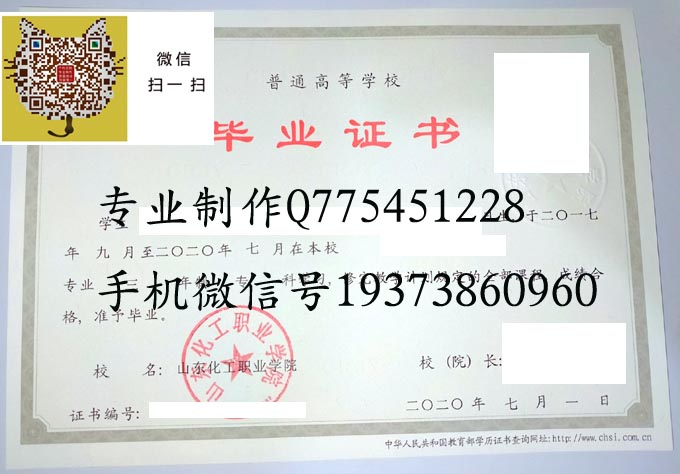 山东化工职业学院2020 拷贝