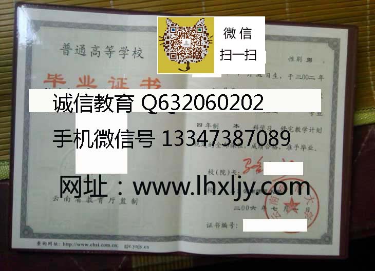 云南师范大学2006 拷贝.jpg