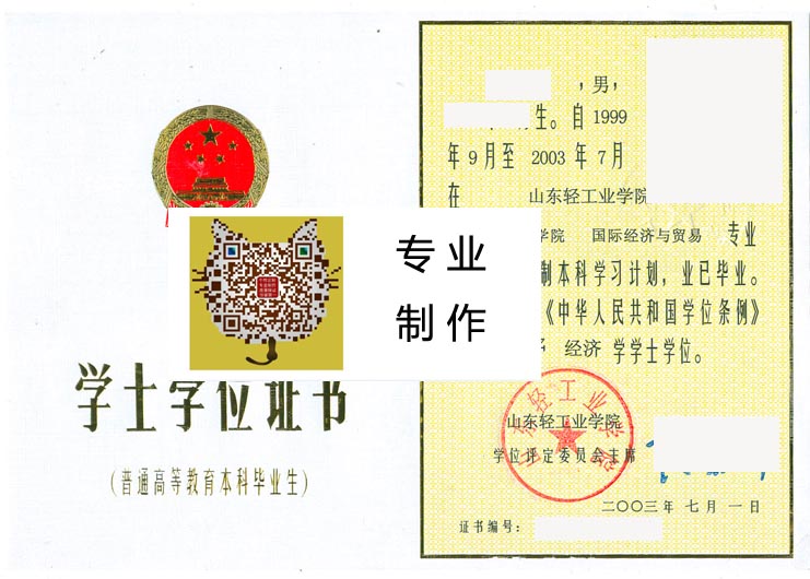 山东轻工业学院学位2003 拷贝.jpg