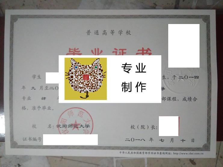 沈阳师范大学2018 拷贝.jpg