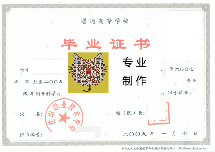 沈阳职业技术学院的2009 拷贝.jpg