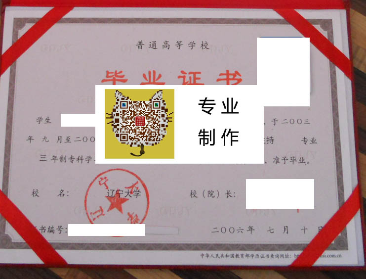 辽宁大学2006 拷贝.jpg