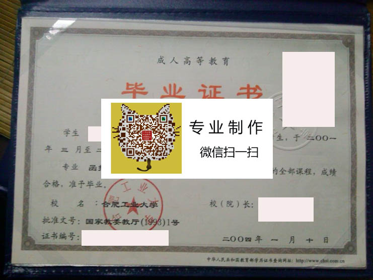 合肥工业大学成人2004 拷贝.jpg