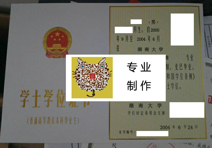 湖南大学2004学位 拷贝.jpg