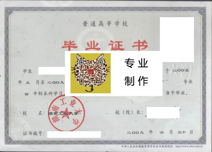 湖南工业大学2009 拷贝.jpg