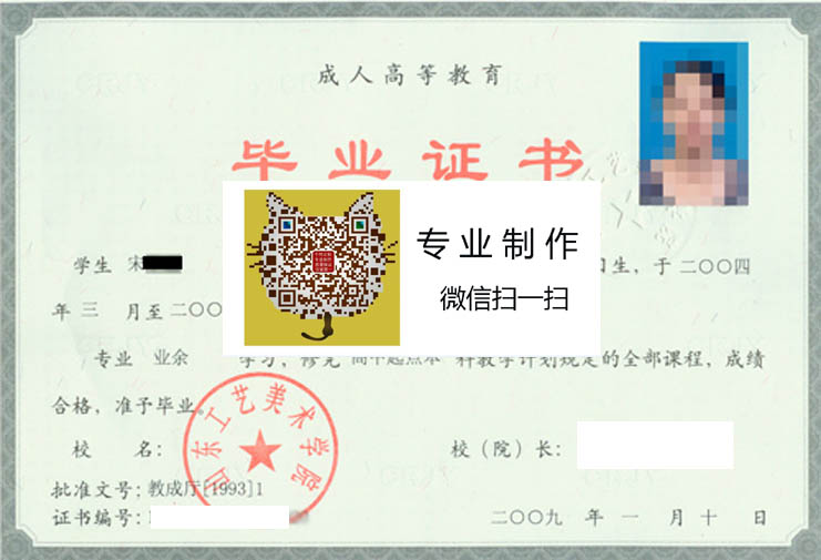 山东工艺美术学院成人2009 拷贝.jpg