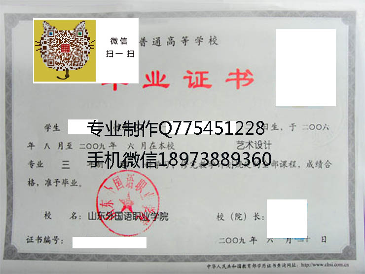 山东外国语职业学院2009 拷贝.jpg