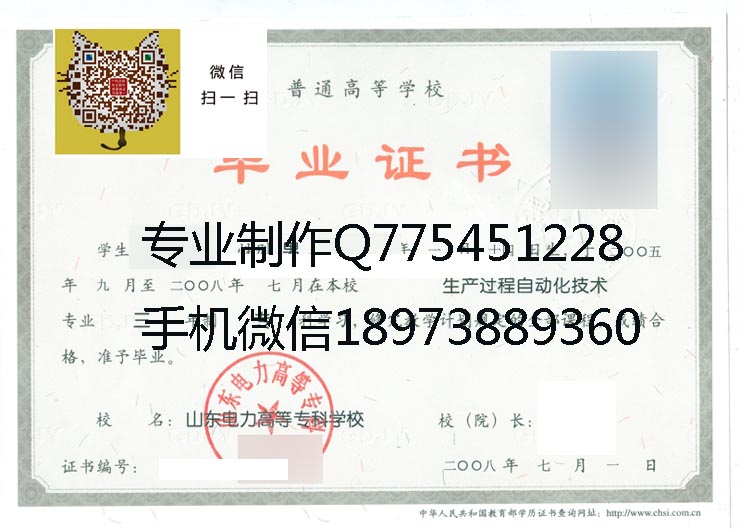 山东电力高等专科学校2008 拷贝.jpg