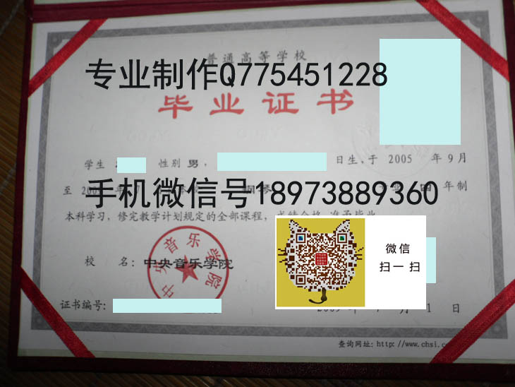 中央音乐学院毕业证 拷贝.jpg