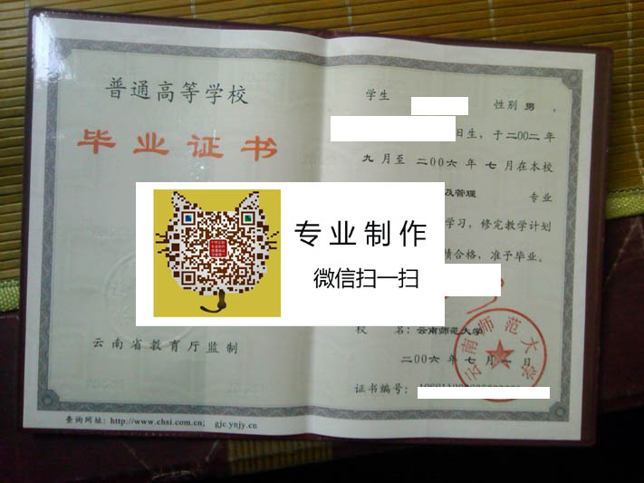 云南师范大学2006.jpg