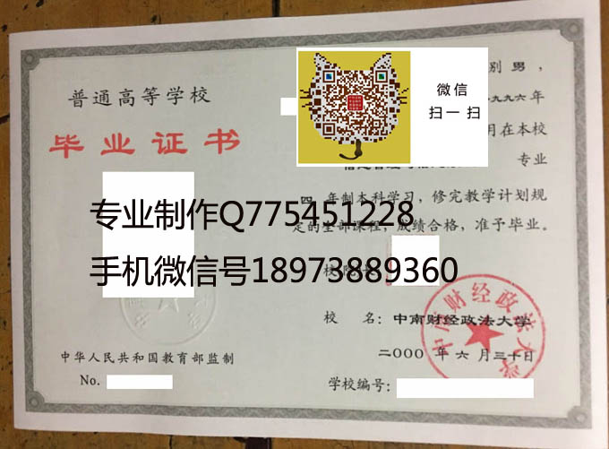 中南财经政法大学2000 拷贝.jpg