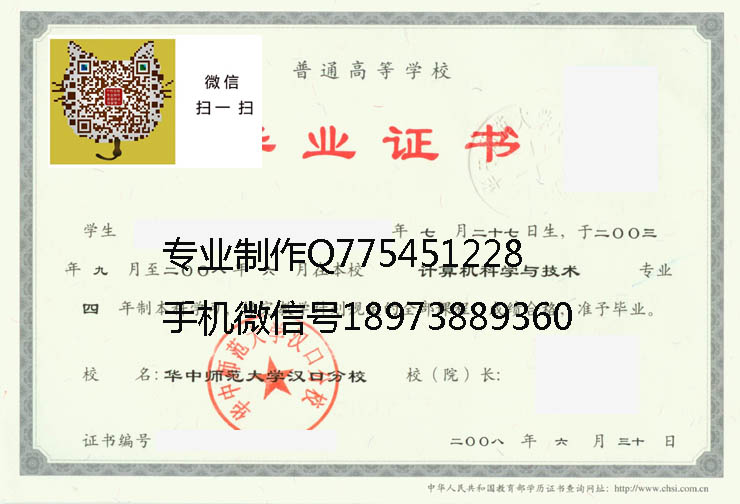 华中师范大学汉口分校2008 拷贝.jpg