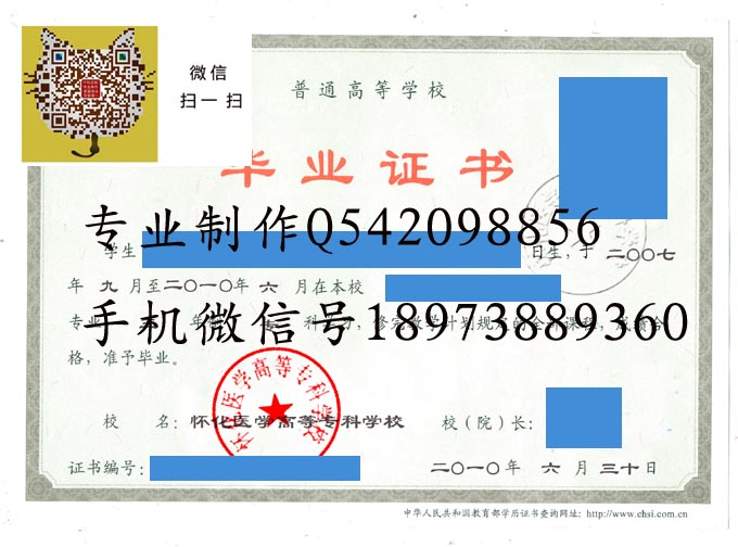 怀化医学高等专科学校2010 拷贝.jpg