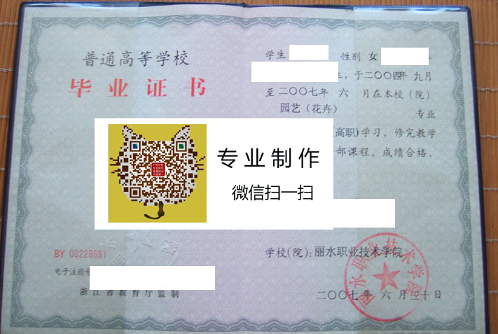 丽水职业技术学院2007 拷贝.jpg