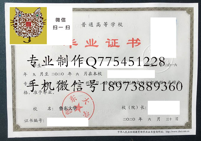 鲁东大学2020实物 拷贝.jpg