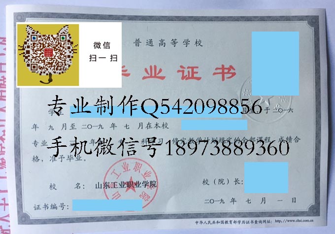 山东工业职业学院2019实物 拷贝.jpg