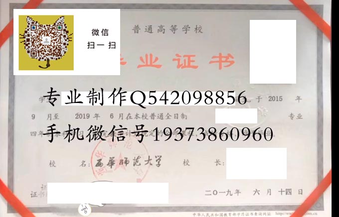 西华师范大学2019 拷贝.jpg