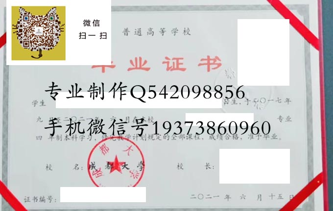 成都大学2021 拷贝.jpg